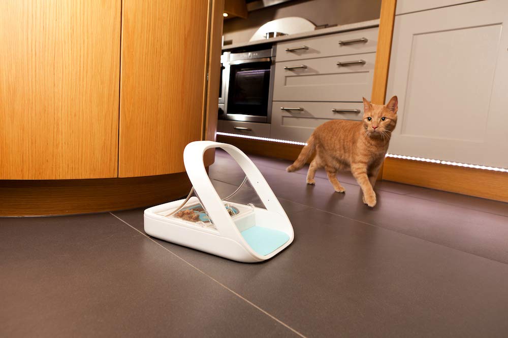Microchip Automatic Pet Feeder for Wet and Dry Food J485