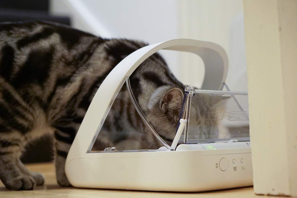 Microchip Automatic Pet Feeder for Wet and Dry Food J485
