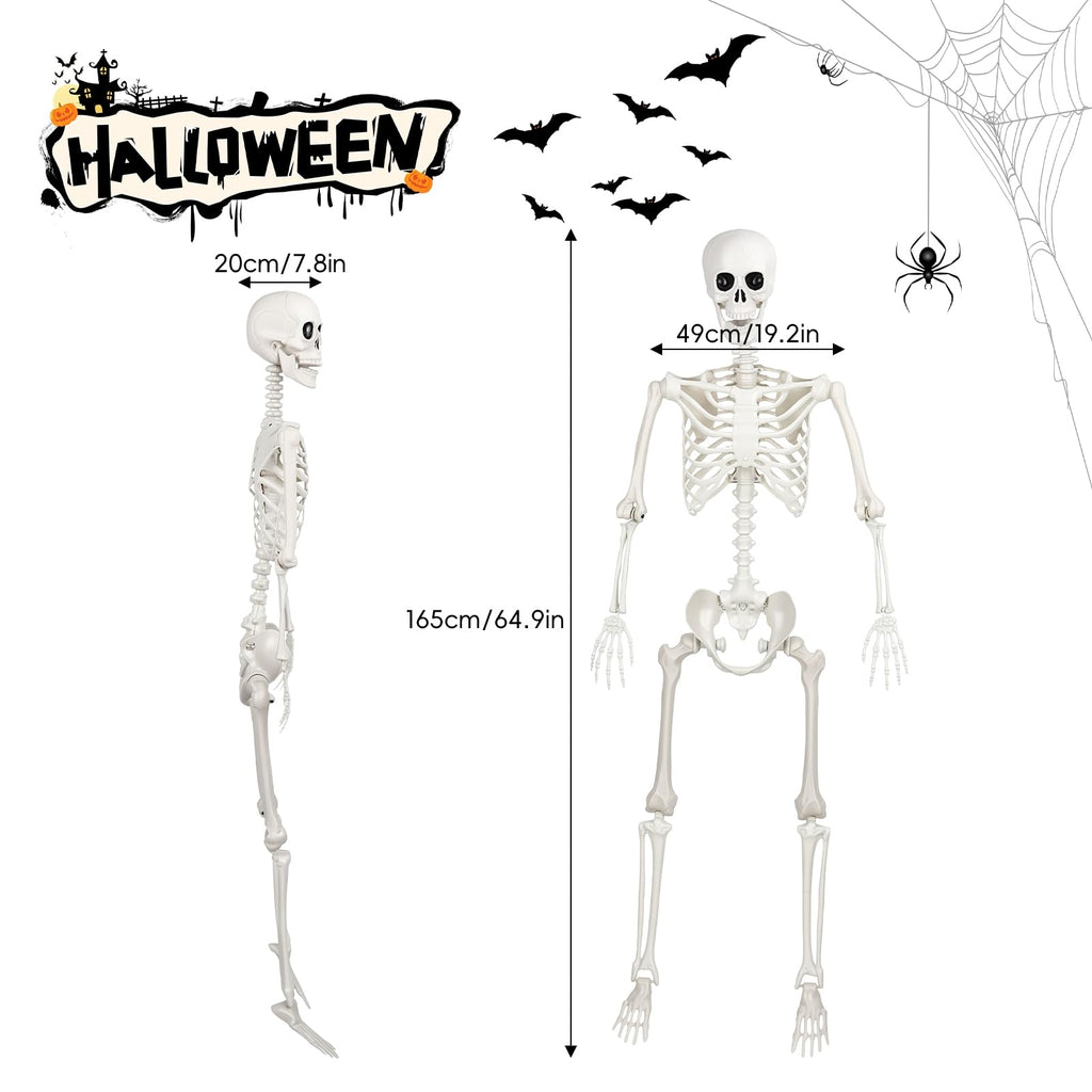 Poseable Life Size Skeleton S99548