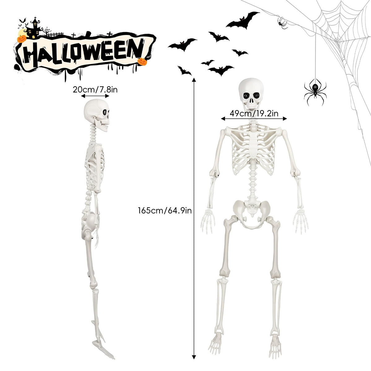 Poseable Life Size Skeleton S99548