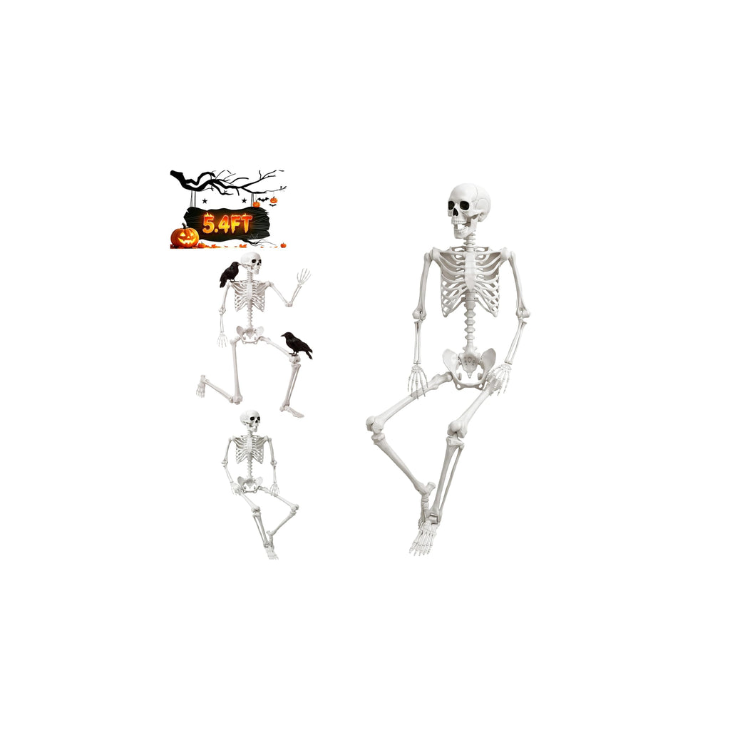 Halloween Life Size Human Skeleton with Posable Joint T9113