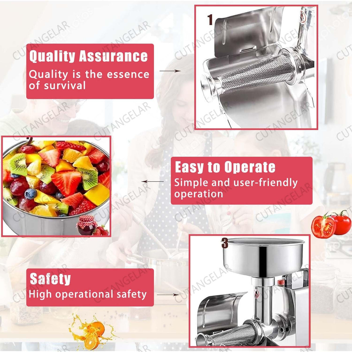 450W Large Capacity Stainless Steel Jam Machine U65987