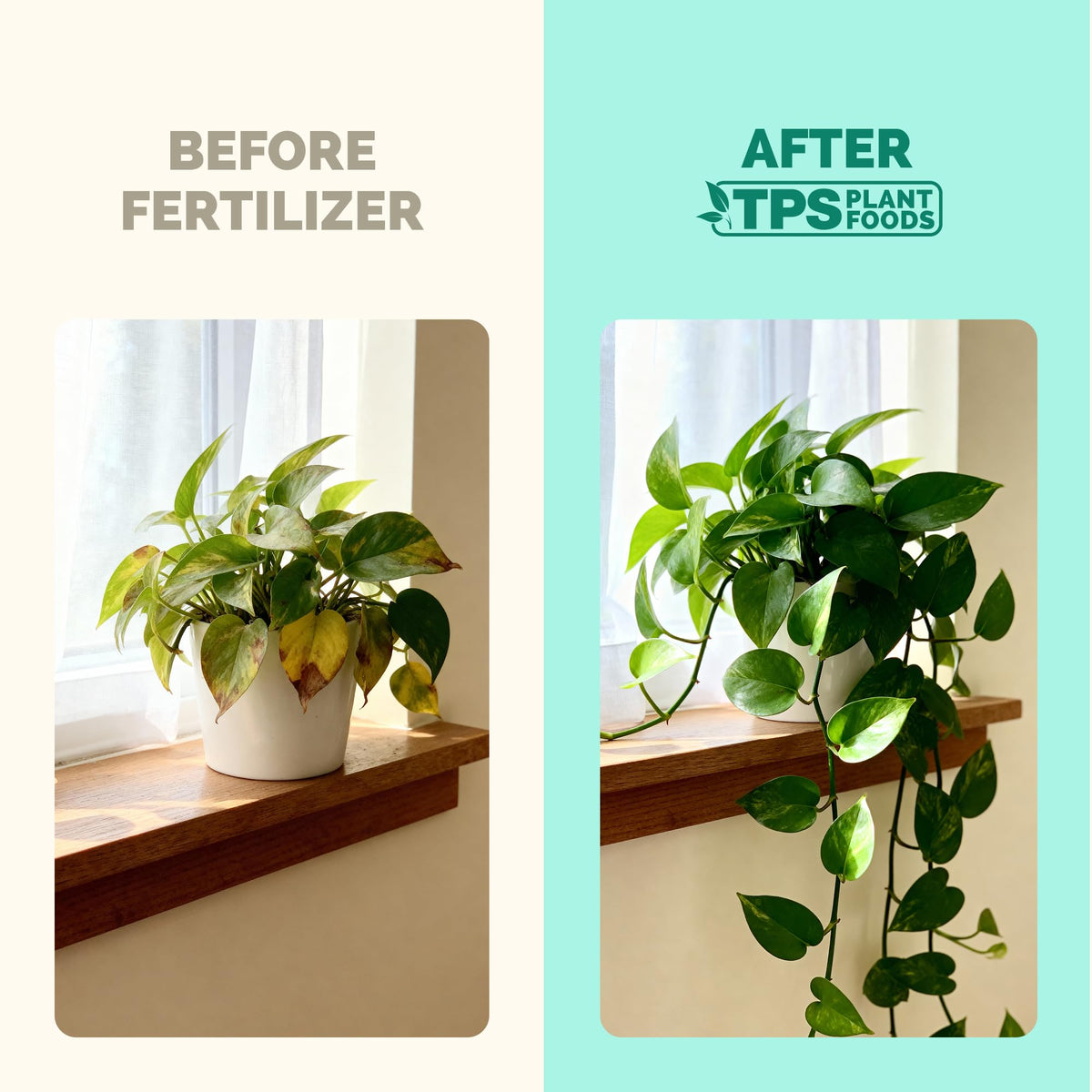 Indoor Plant Food Liquid Fertilizer 32oz D260