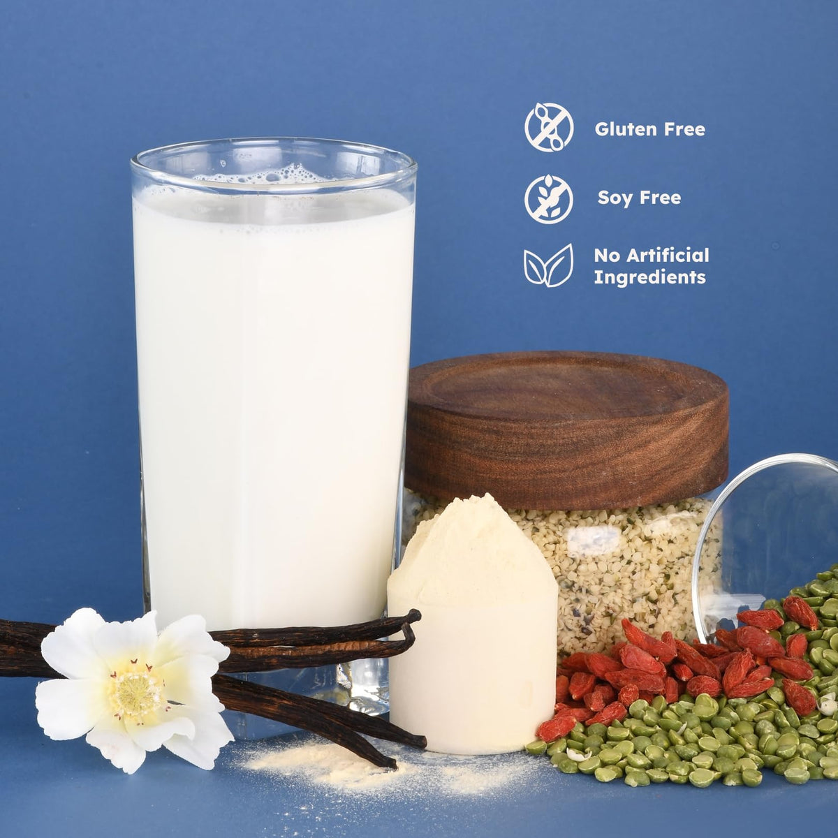 Organic Plant Protein Powder Vanilla 1.74 lb L6010