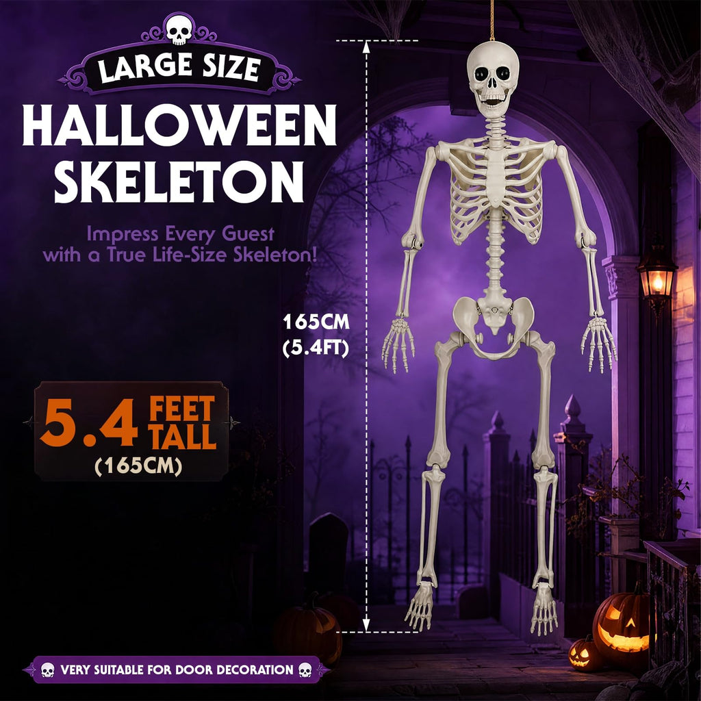 Poseable Life Size Skeleton S99548