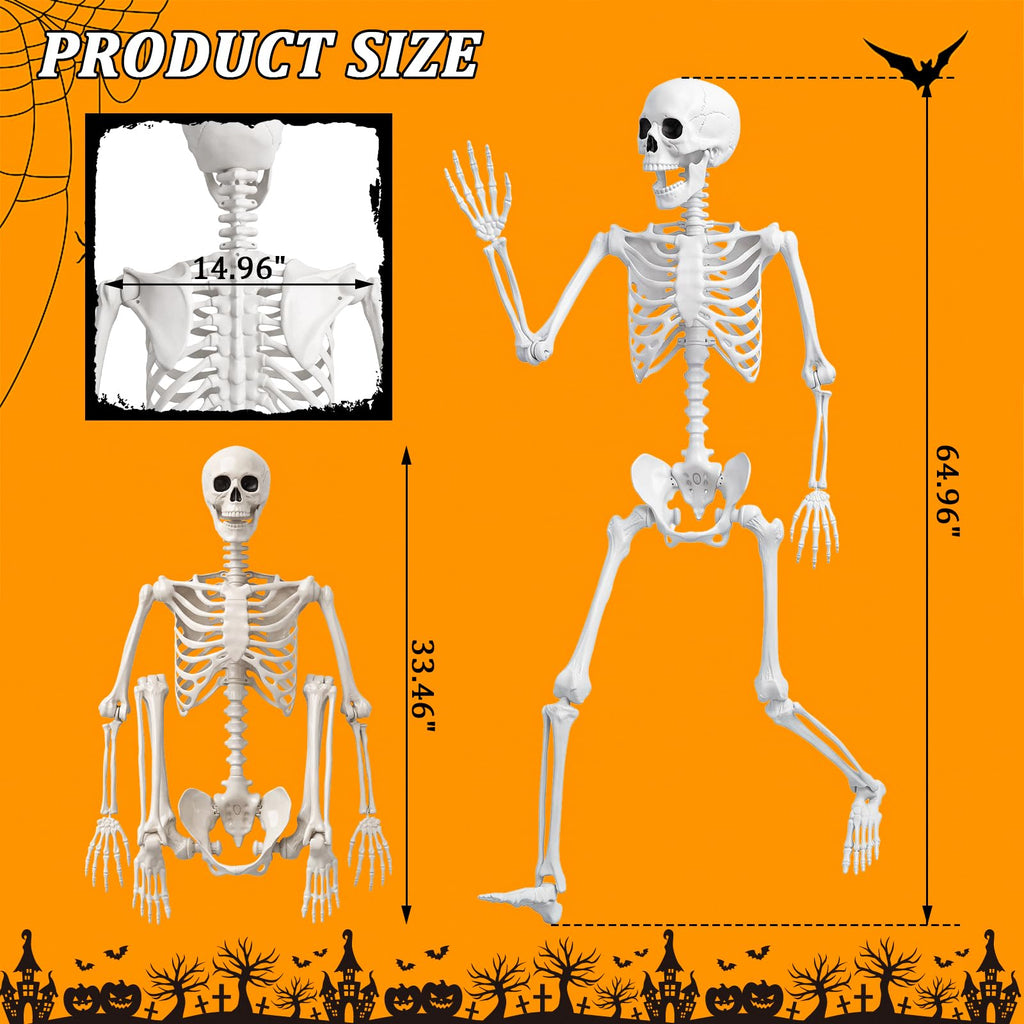 Halloween Life Size Human Skeleton with Posable Joint T9113