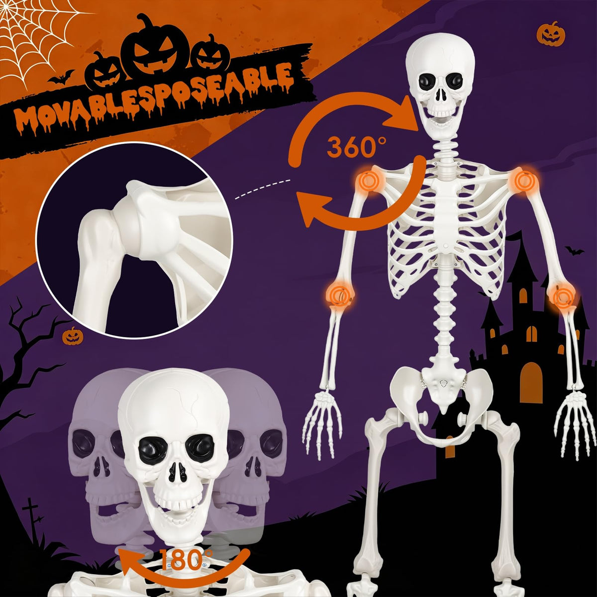 Poseable Life Size Skeleton S99548