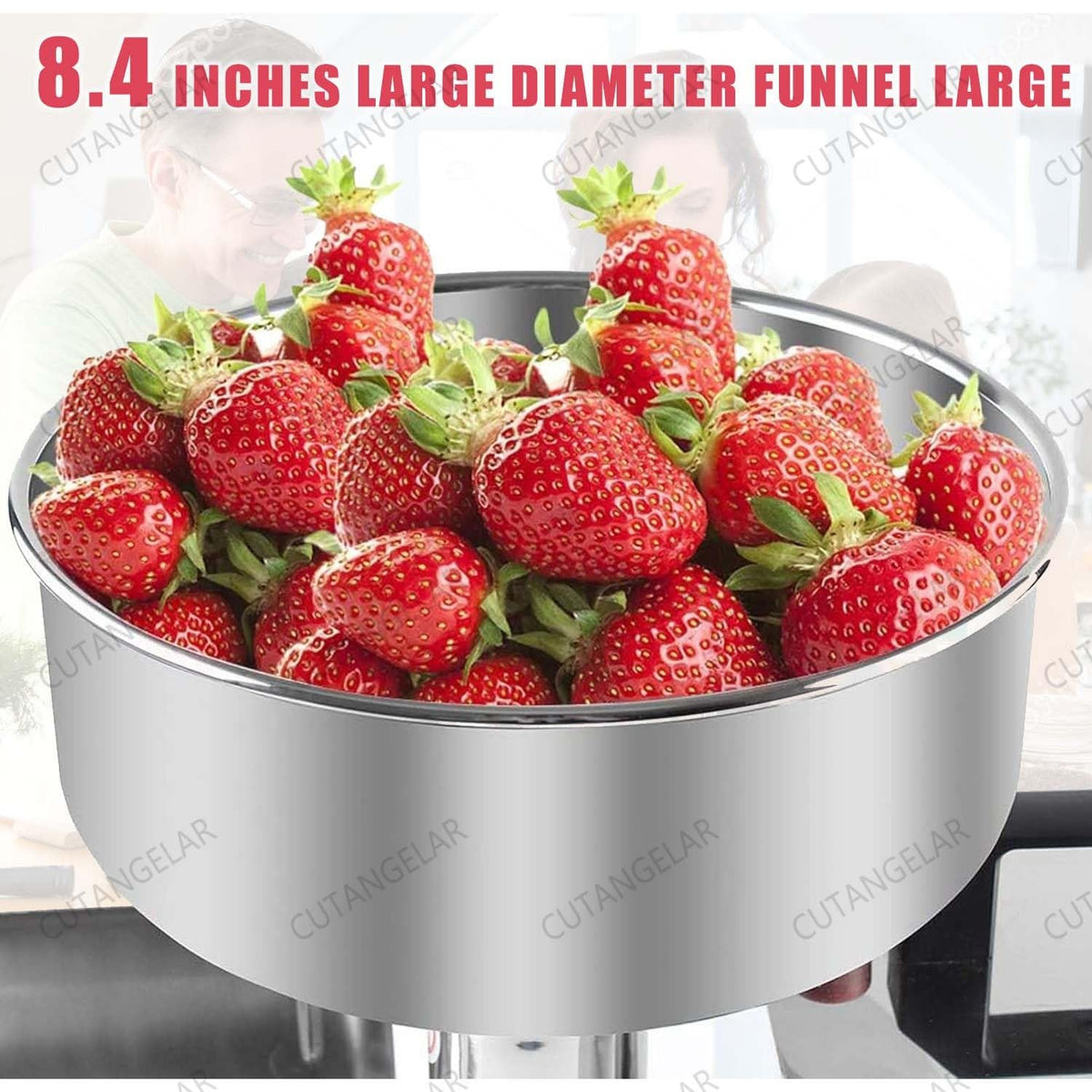 450W Large Capacity Stainless Steel Jam Machine U65987
