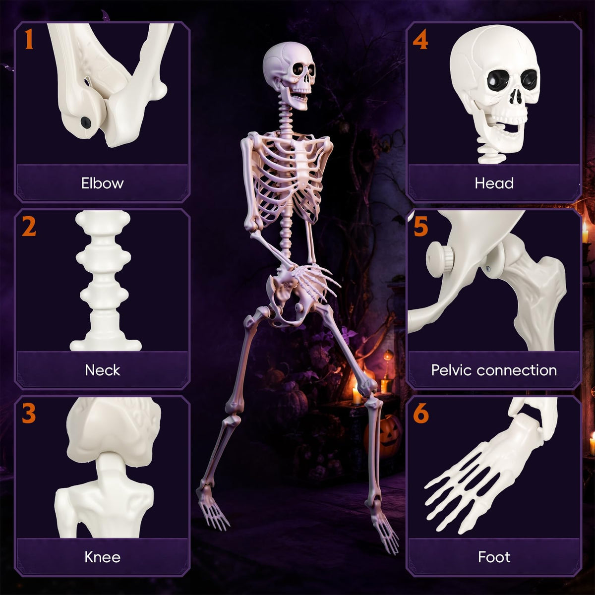 Poseable Life Size Skeleton S99548
