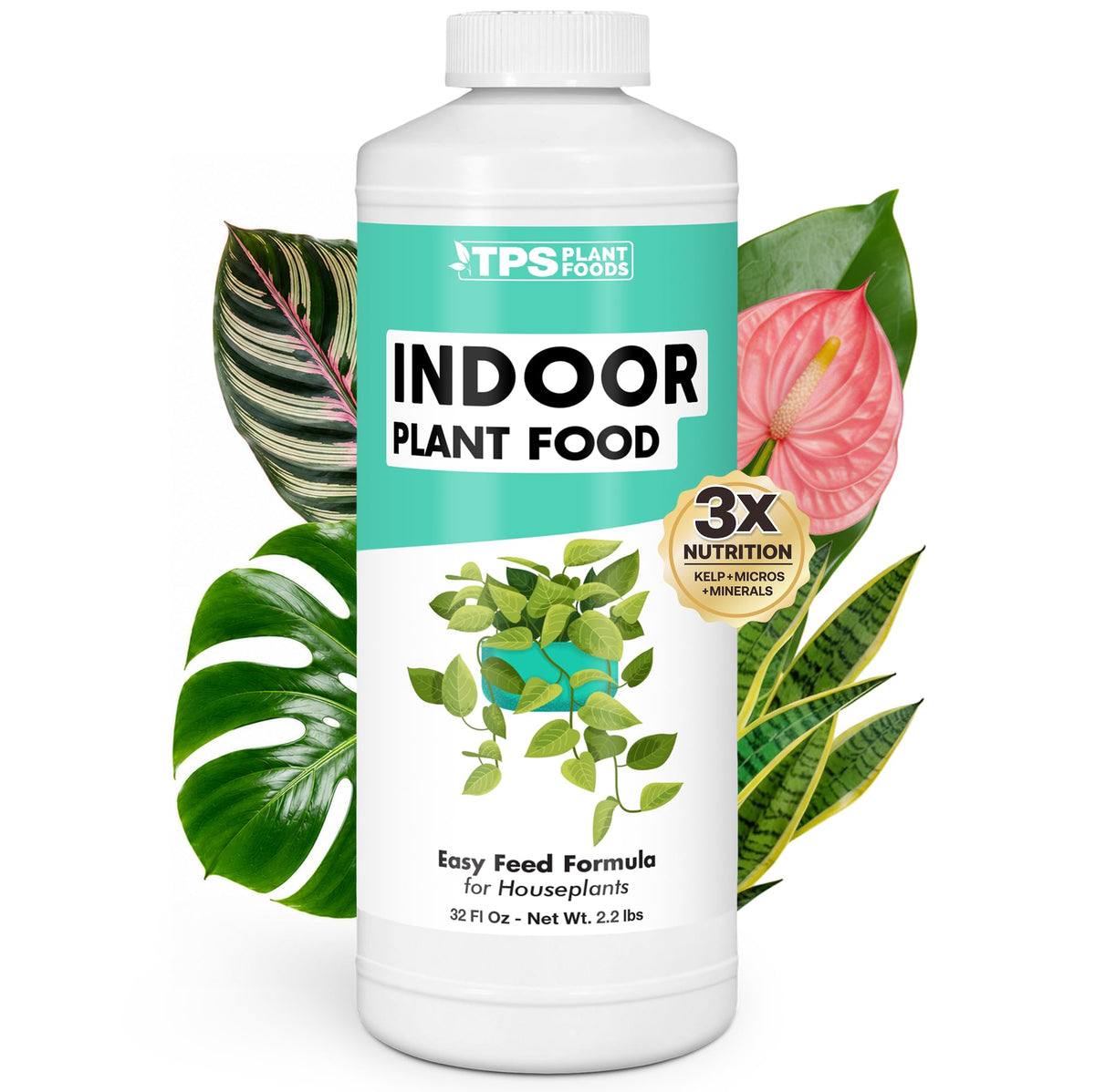 Indoor Plant Food Liquid Fertilizer 32oz D260