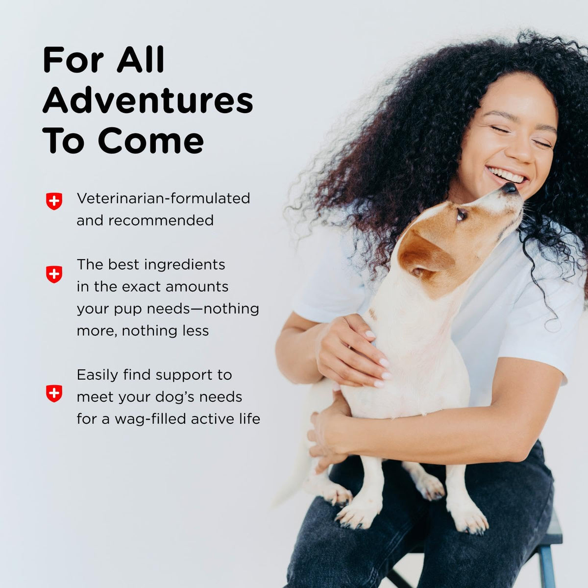 Dog Allergy Supplement 60 Count Q22680