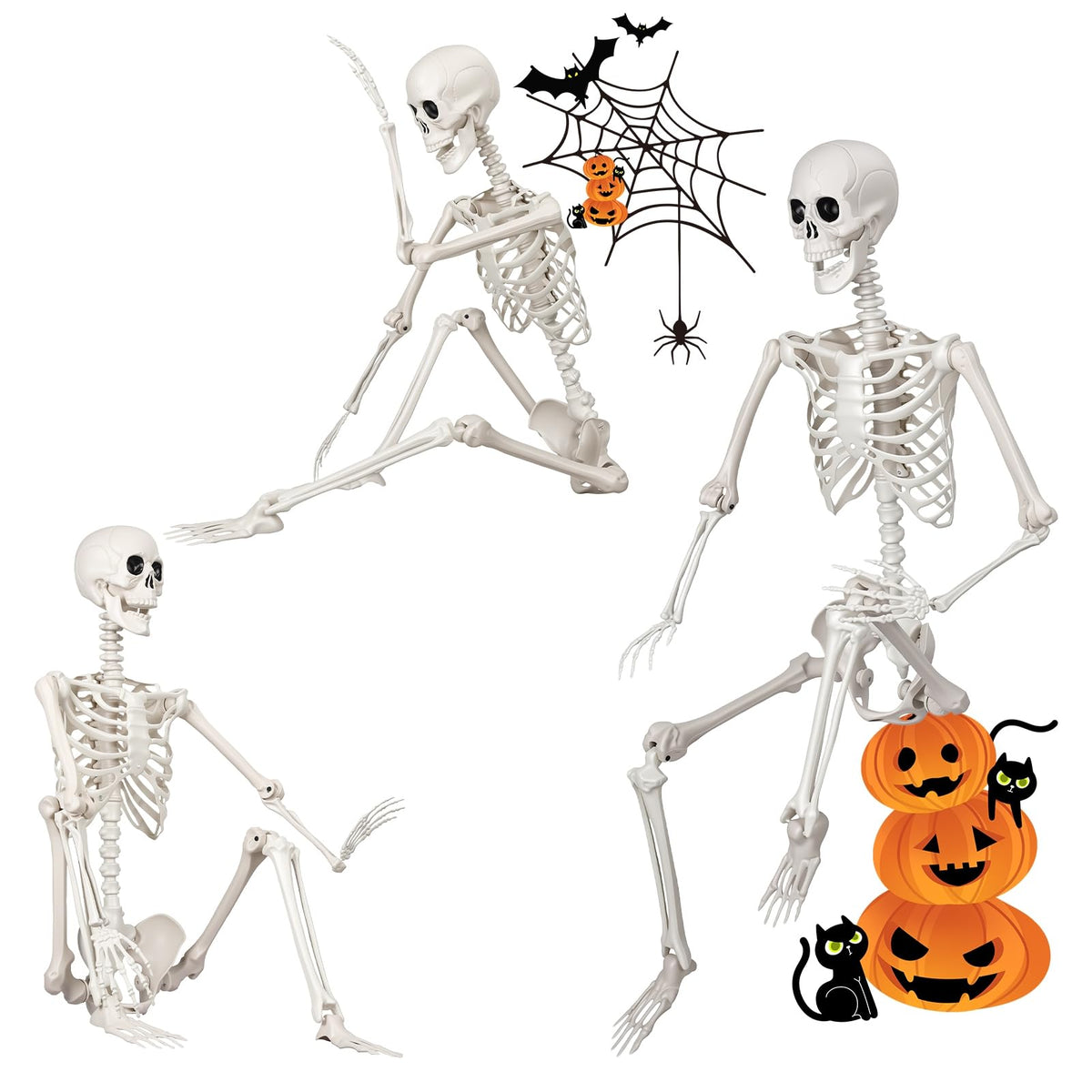 Poseable Life Size Skeleton S99548