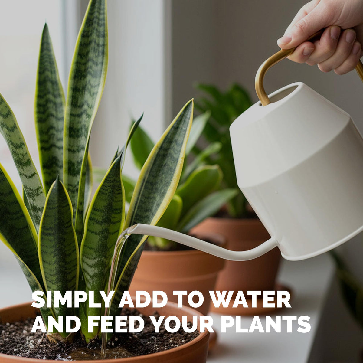 Indoor Plant Food Liquid Fertilizer 32oz D260