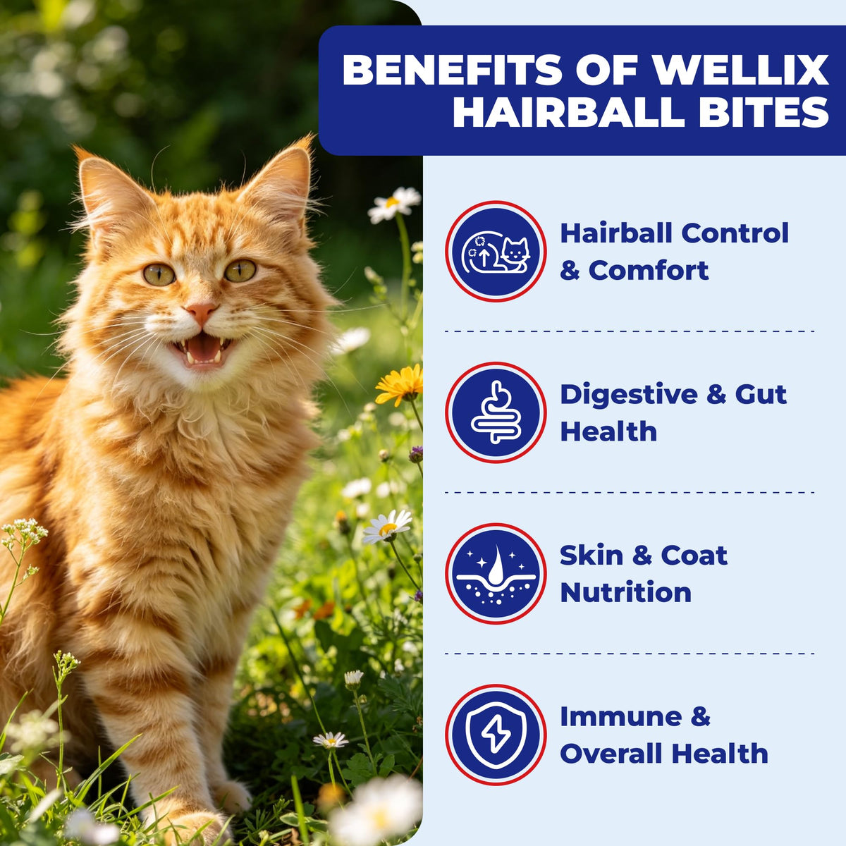 10.58 oz Hairball Bites for Cats W91920