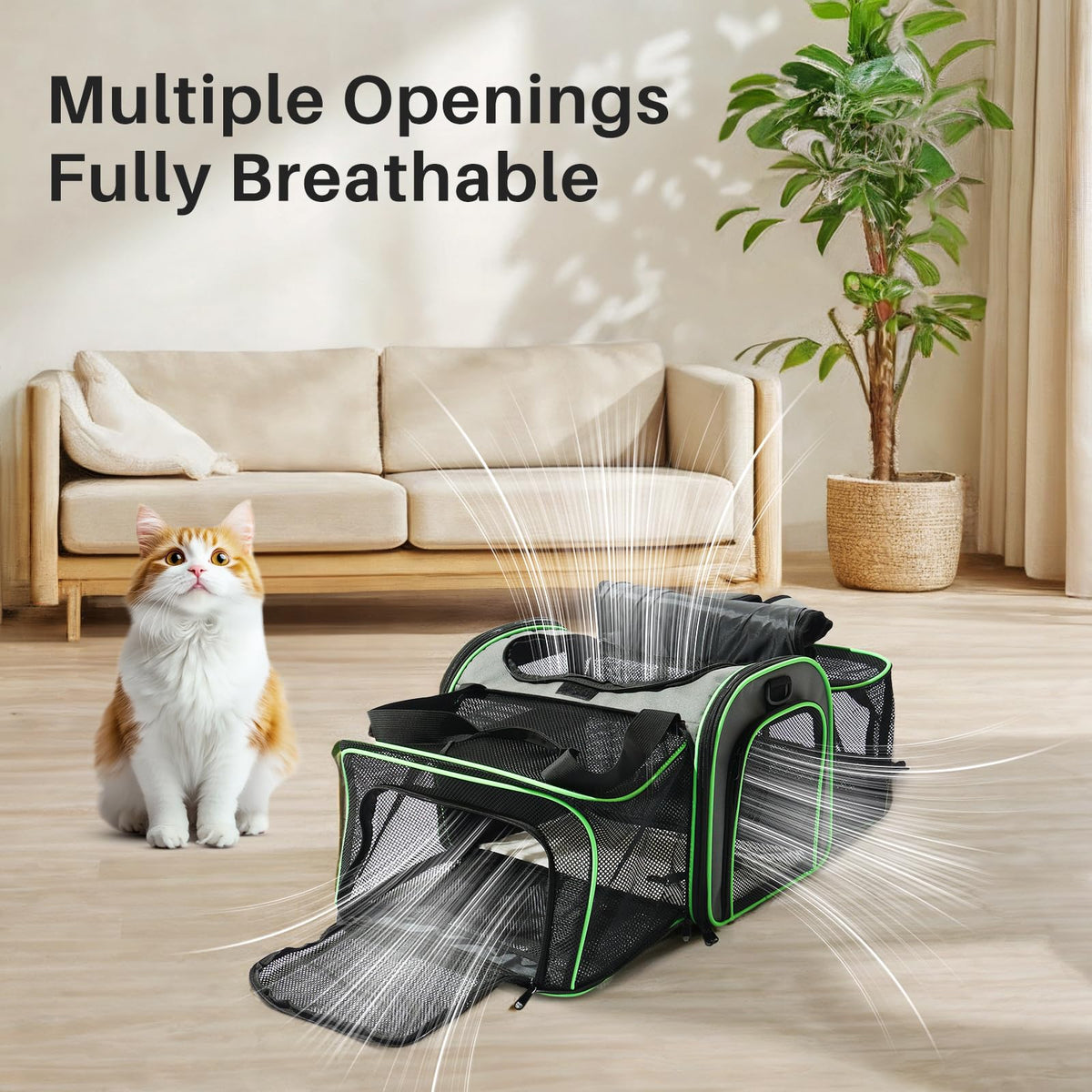 Expandable Cat Carrier H854