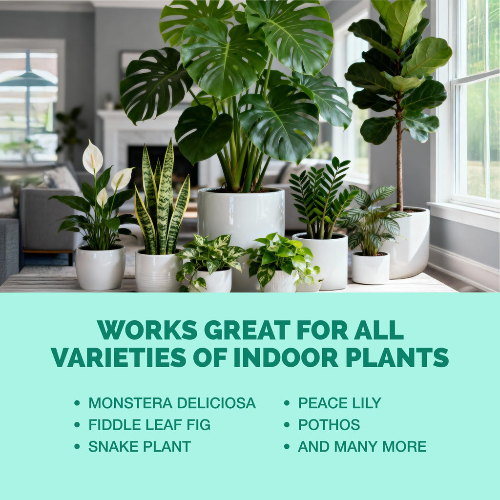 Indoor Plant Food Liquid Fertilizer 32oz D260