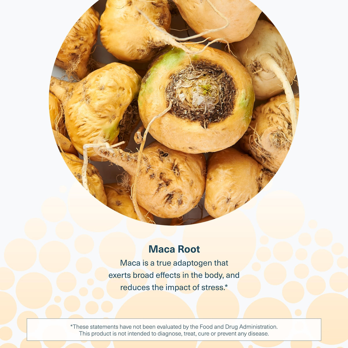 Maca Root 120 Vegetarian Capsules Q25938