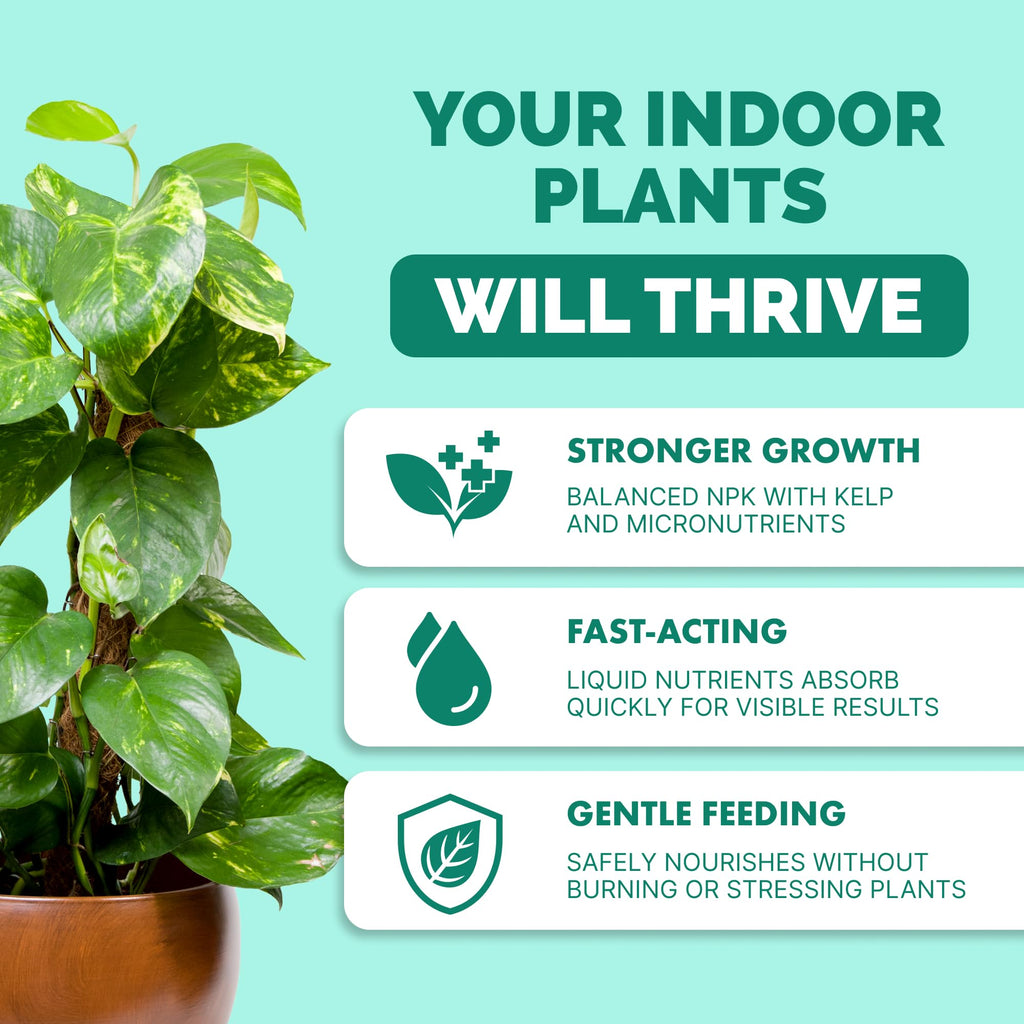 Indoor Plant Food Liquid Fertilizer 32oz D260