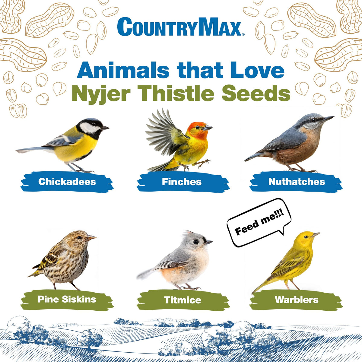 Nyjer Seed for Finches & Songbirds H889