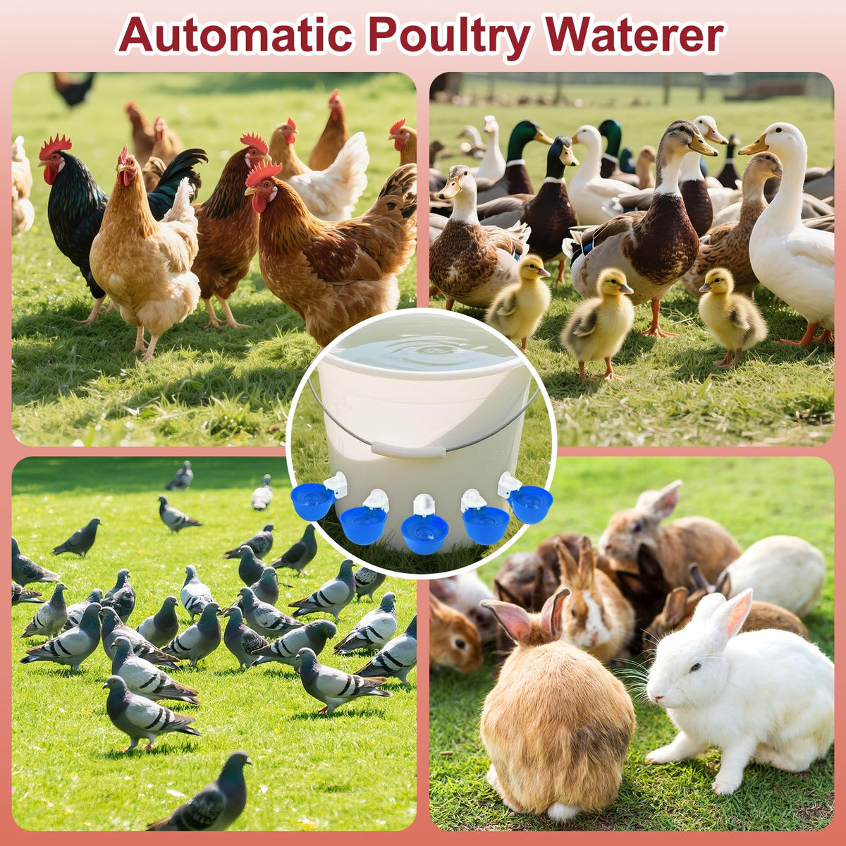 8 Pack Blue Automatic Chicken Waterer Cups D2160