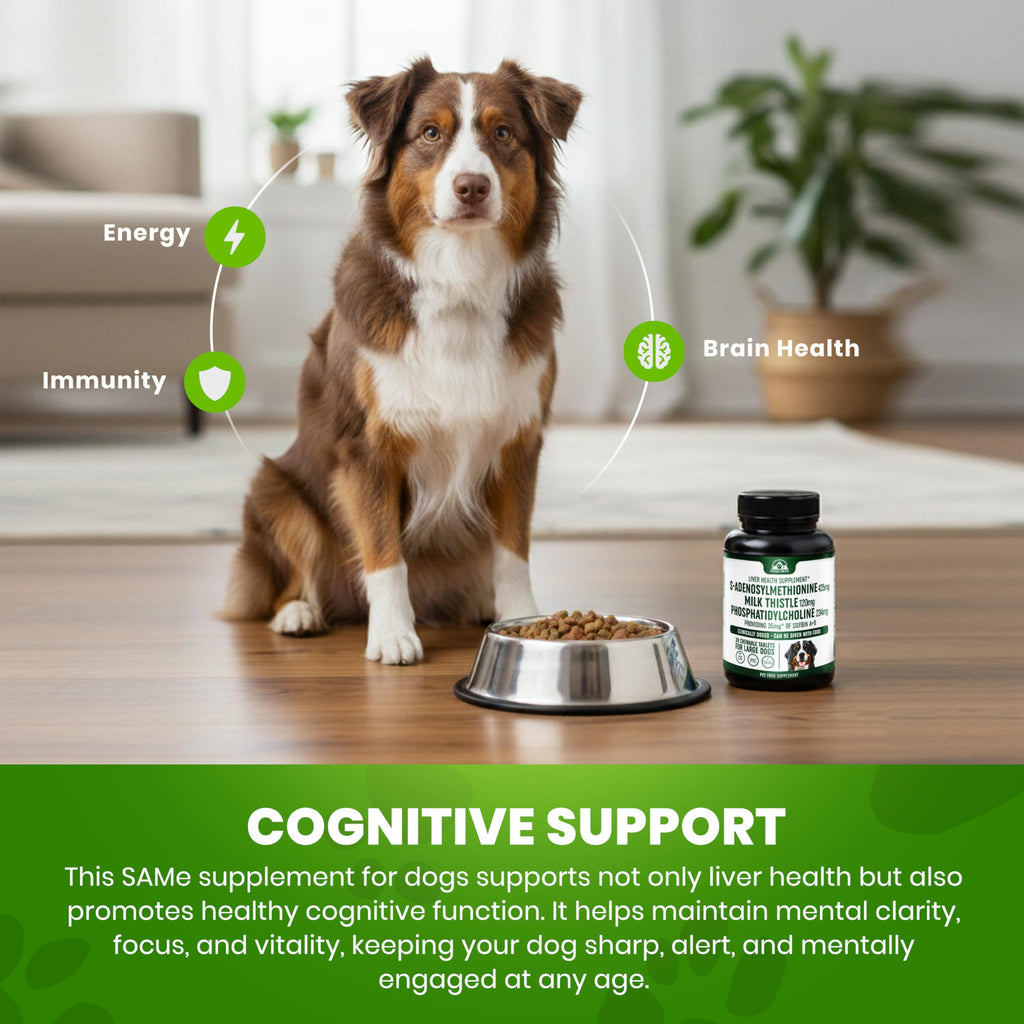 Liver Support Supplement for Large Dogs with Milk Thistle - 30 Chewable Tablets U183