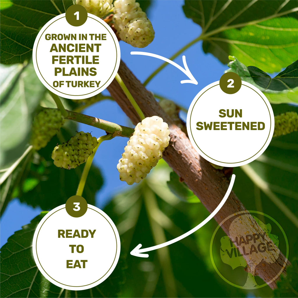 Organic Dried White Mulberries 15 OZ K811