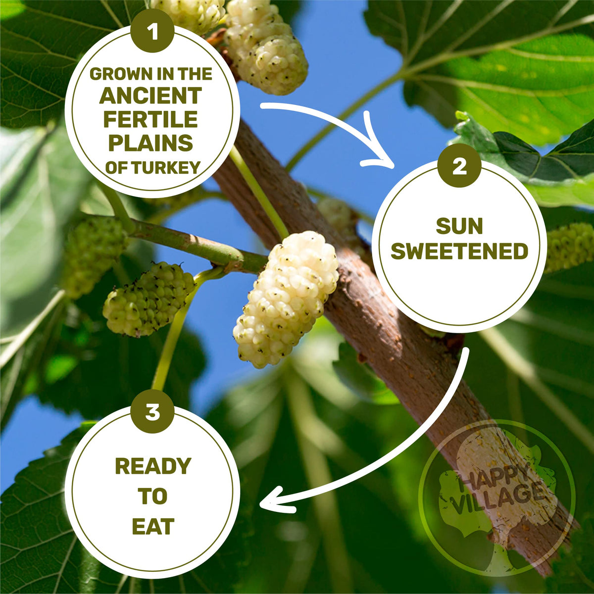 Organic Dried White Mulberries 15 OZ K811