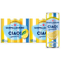 24 Pack Sparkling Water V998