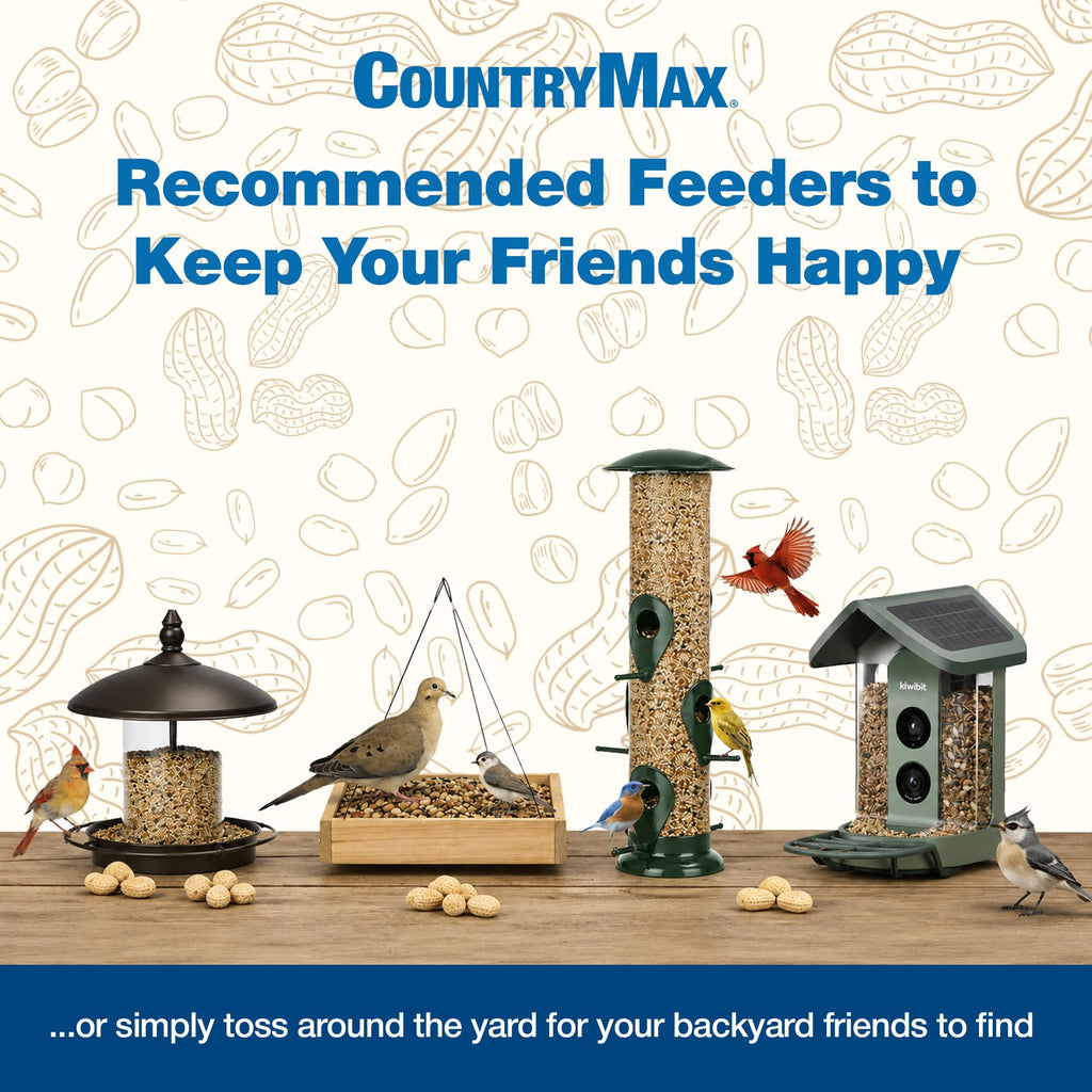 Nyjer Seed for Finches & Songbirds H889