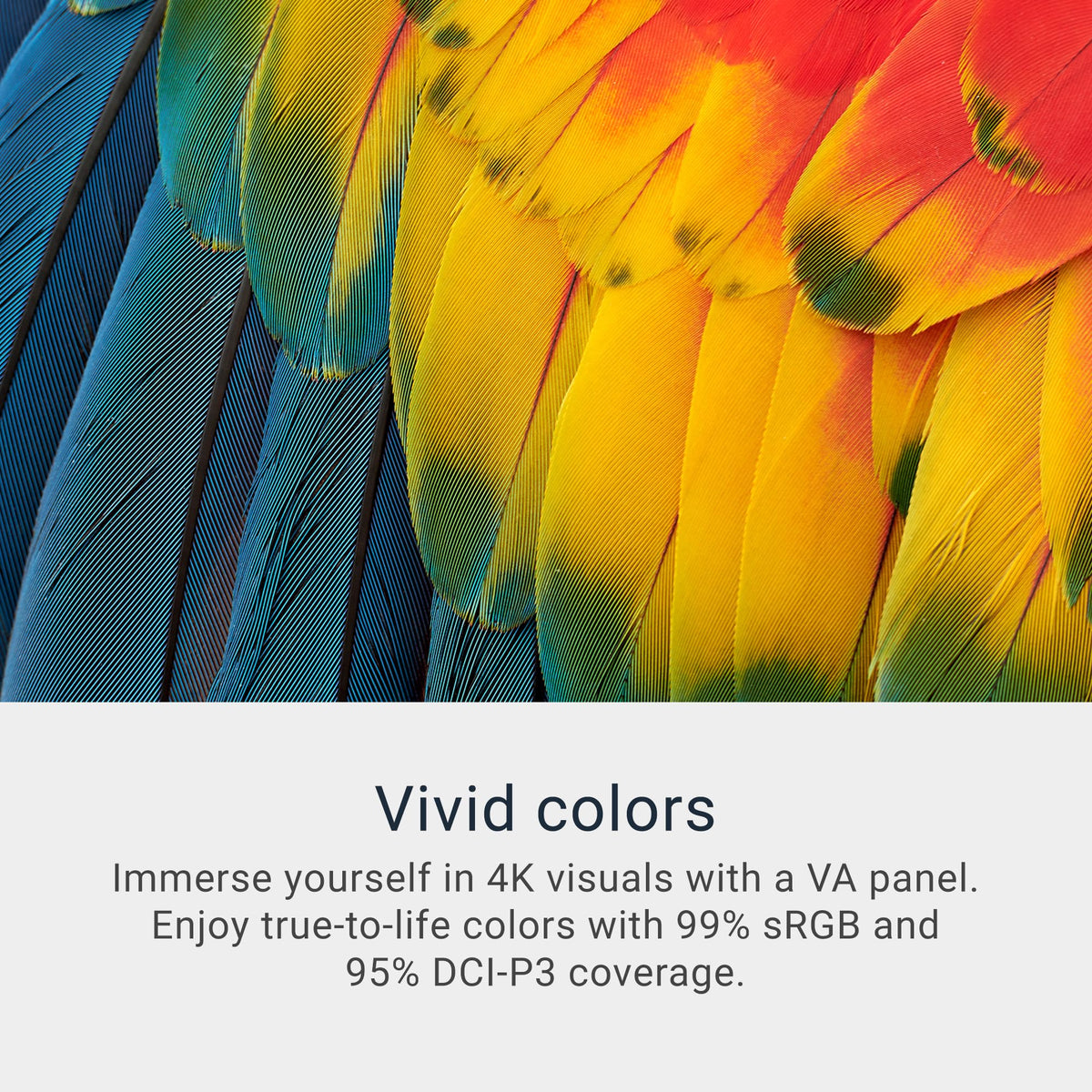 32 Monitor 4K UHD VA 120Hz FreeSync Premium E70254
