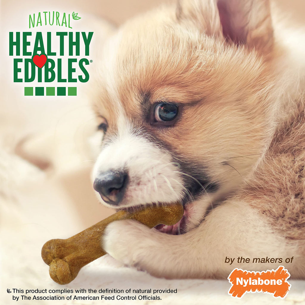Healthy Edibles Puppy Dog Treats Variety Pack, 3 Count V809018